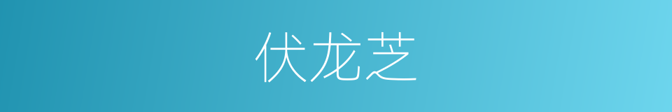 伏龙芝的同义词