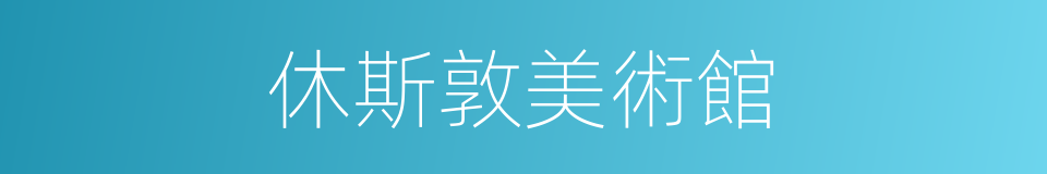 休斯敦美術館的同義詞