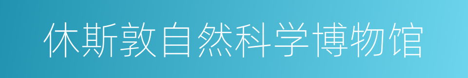 休斯敦自然科学博物馆的同义词