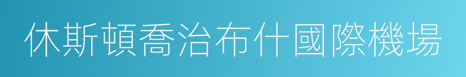 休斯頓喬治布什國際機場的同義詞