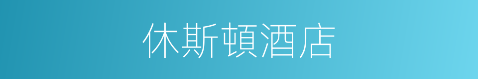 休斯頓酒店的同義詞