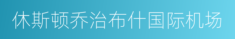 休斯顿乔治布什国际机场的同义词