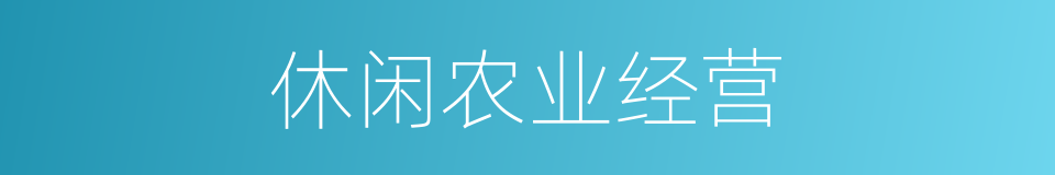 休闲农业经营的同义词