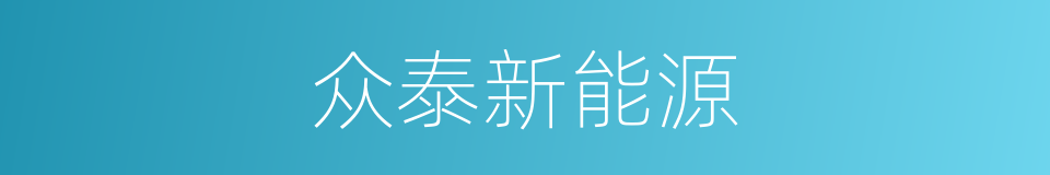 众泰新能源的同义词