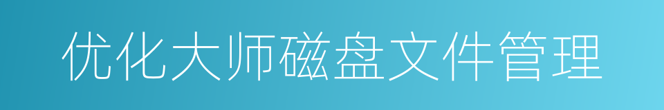 优化大师磁盘文件管理的同义词