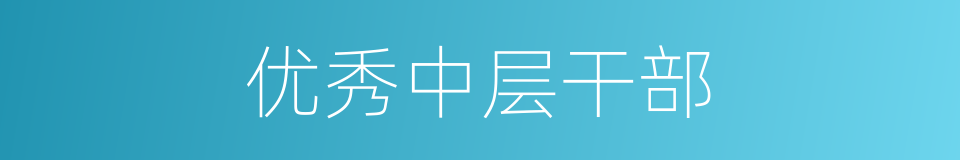 优秀中层干部的同义词