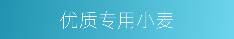 优质专用小麦的同义词
