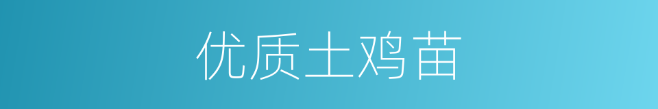 优质土鸡苗的同义词