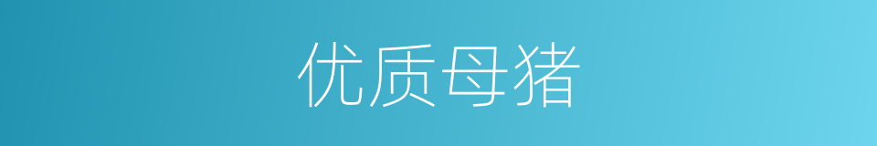 优质母猪的同义词
