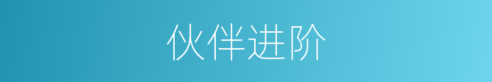 伙伴进阶的同义词