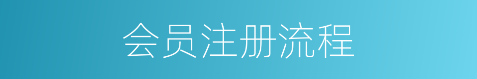 会员注册流程的同义词