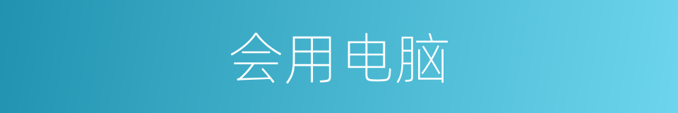 会用电脑的同义词