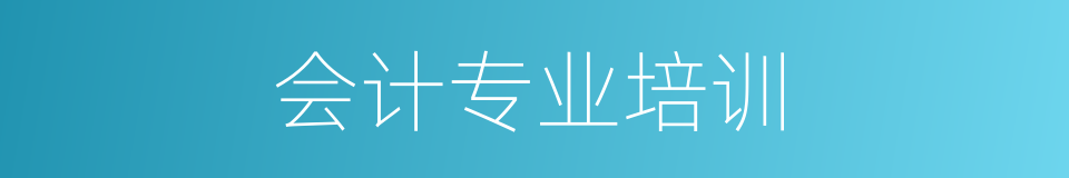 会计专业培训的同义词