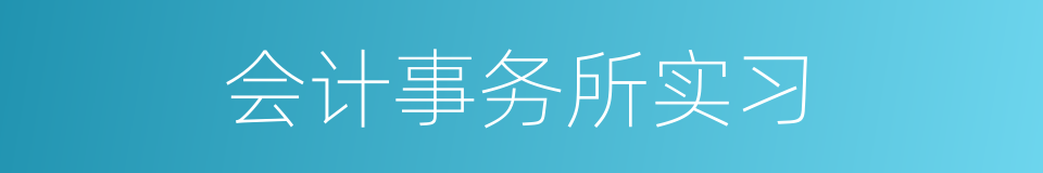 会计事务所实习的同义词