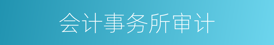 会计事务所审计的同义词