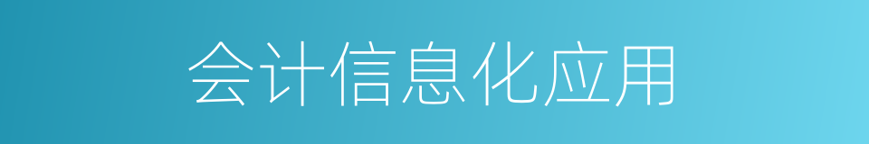 会计信息化应用的同义词