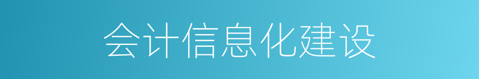 会计信息化建设的同义词