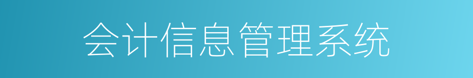 会计信息管理系统的同义词