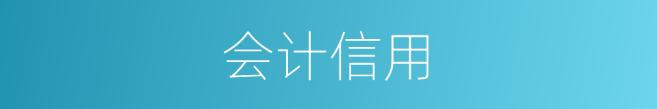 会计信用的同义词