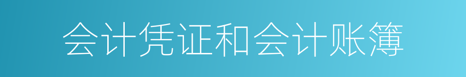 会计凭证和会计账簿的同义词