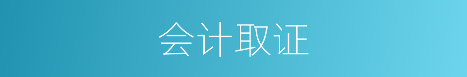会计取证的同义词