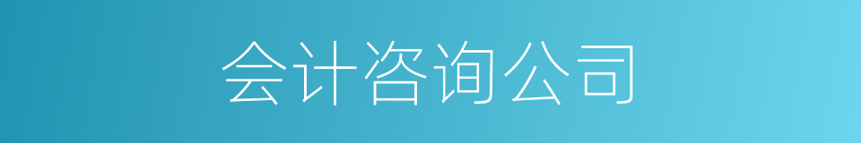 会计咨询公司的同义词