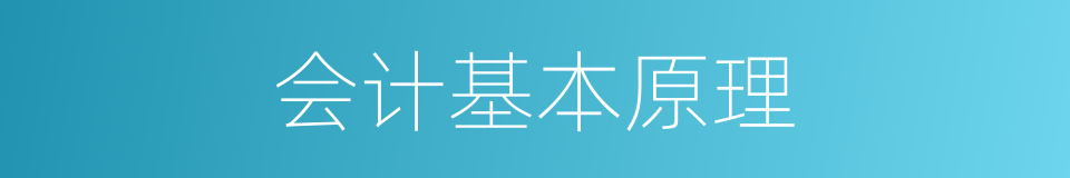 会计基本原理的同义词