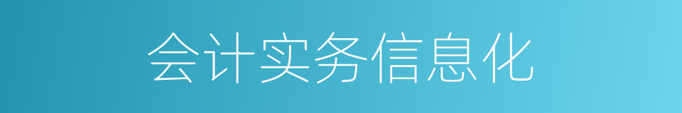 会计实务信息化的同义词