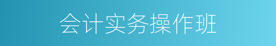 会计实务操作班的同义词