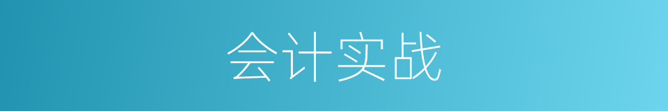 会计实战的同义词