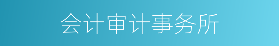 会计审计事务所的同义词