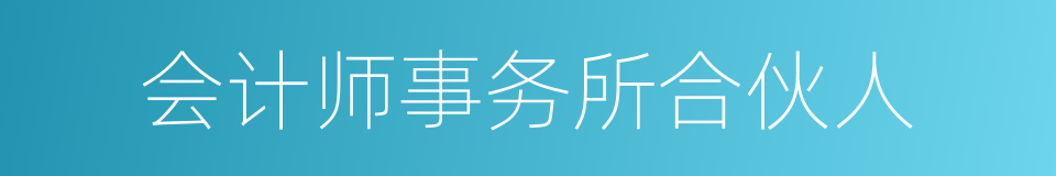 会计师事务所合伙人的同义词