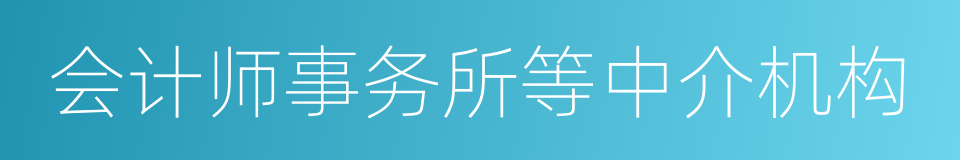 会计师事务所等中介机构的同义词