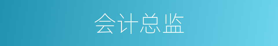 会计总监的同义词