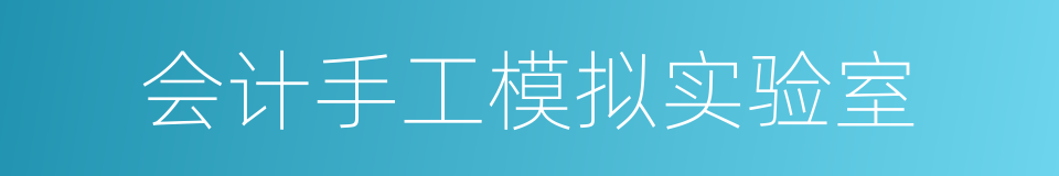 会计手工模拟实验室的同义词