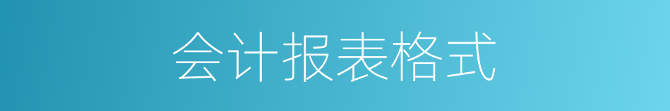 会计报表格式的同义词