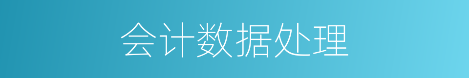 会计数据处理的同义词