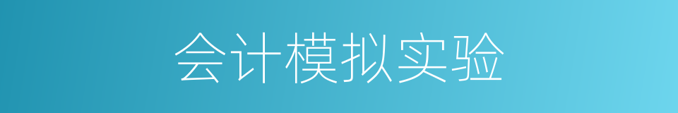 会计模拟实验的同义词
