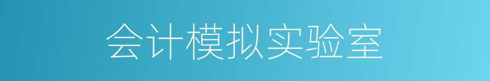 会计模拟实验室的同义词