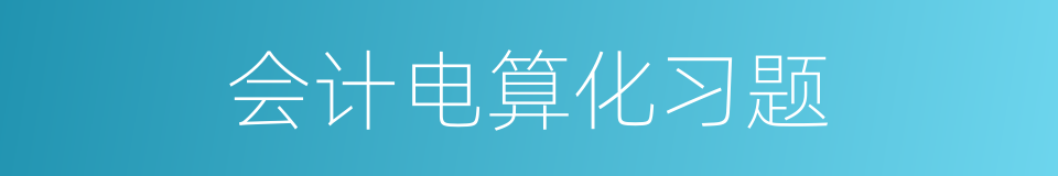 会计电算化习题的同义词