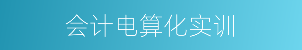 会计电算化实训的同义词