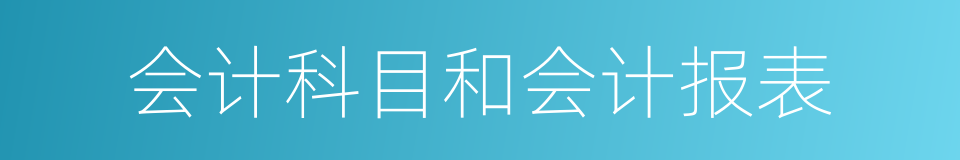 会计科目和会计报表的同义词