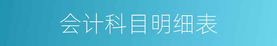 会计科目明细表的同义词
