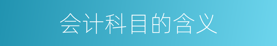 会计科目的含义的同义词
