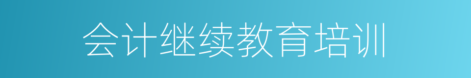 会计继续教育培训的同义词