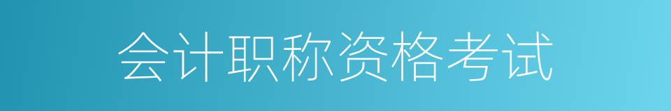 会计职称资格考试的同义词