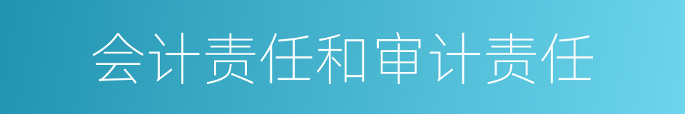 会计责任和审计责任的同义词