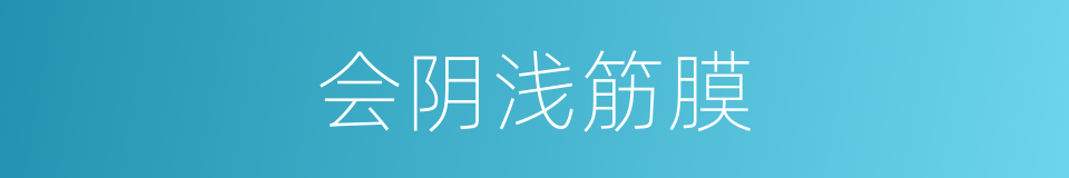 会阴浅筋膜的同义词
