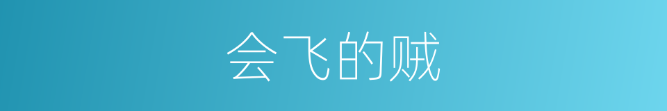 会飞的贼的同义词