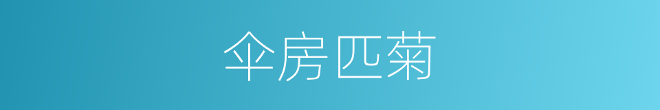 伞房匹菊的同义词